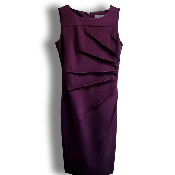Calvin Klein Dresses & Skirts - Calvin Klein Purple Sleeveless Sheath Dress w Side Ruching size 2P